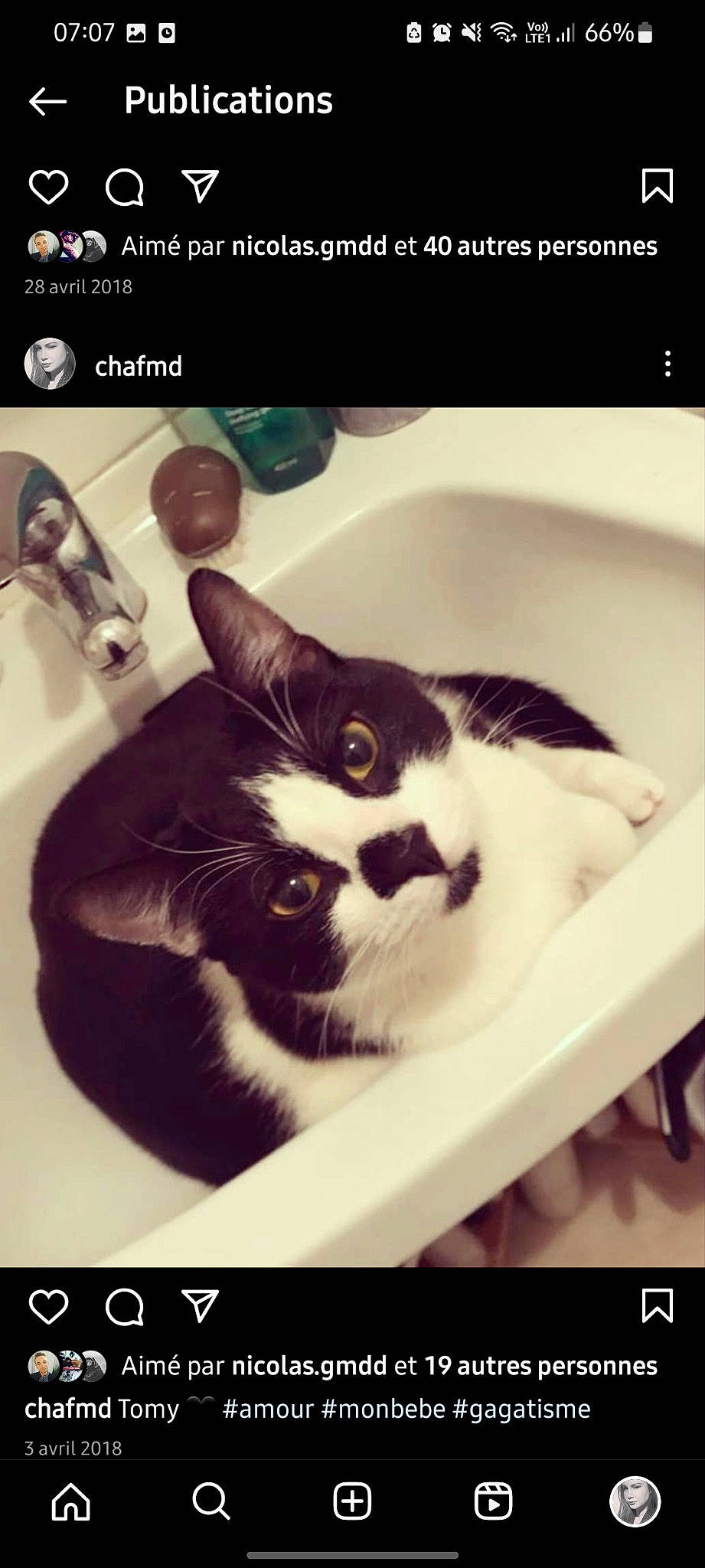 Tomy participe au concours pour gagner de l'argent avec cette photo : bathroom, bathroom_sink, beauty, carnivore, cat, comfort, felidae, font, fur, paper_product, photo_caption, plumbing, plumbing_fixture, rectangle, sink, small_to_medium_sized_cats, snout, tail, tap, whiskers