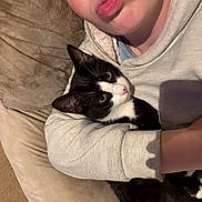 Cookie Dough joined the competition — help win amazing prizes! person, cat, black_and_white_cat, couch, hugging, indoor, close_up, face, paw, cute, pet, animal, feline, cozy, casual_clothing, love, relaxation, home, comfort, affection