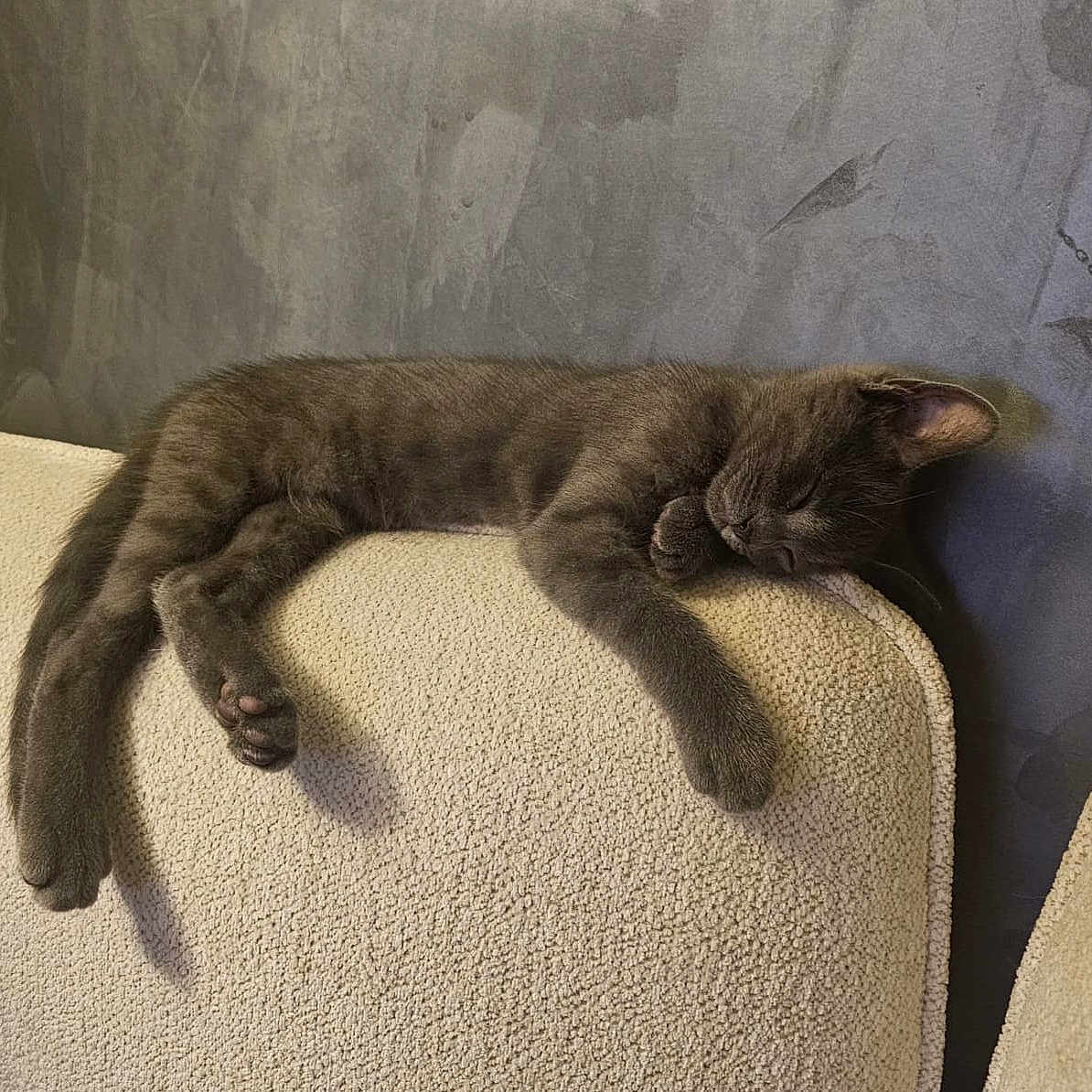 Kiko