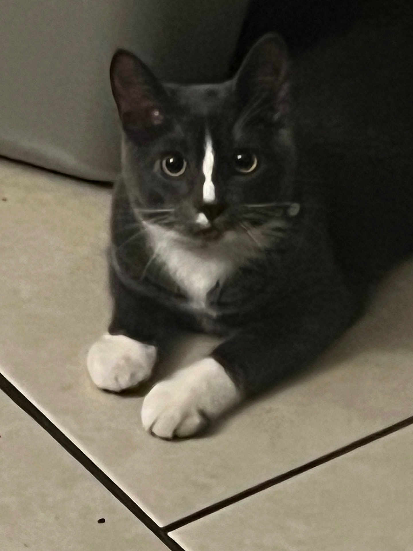Mittens