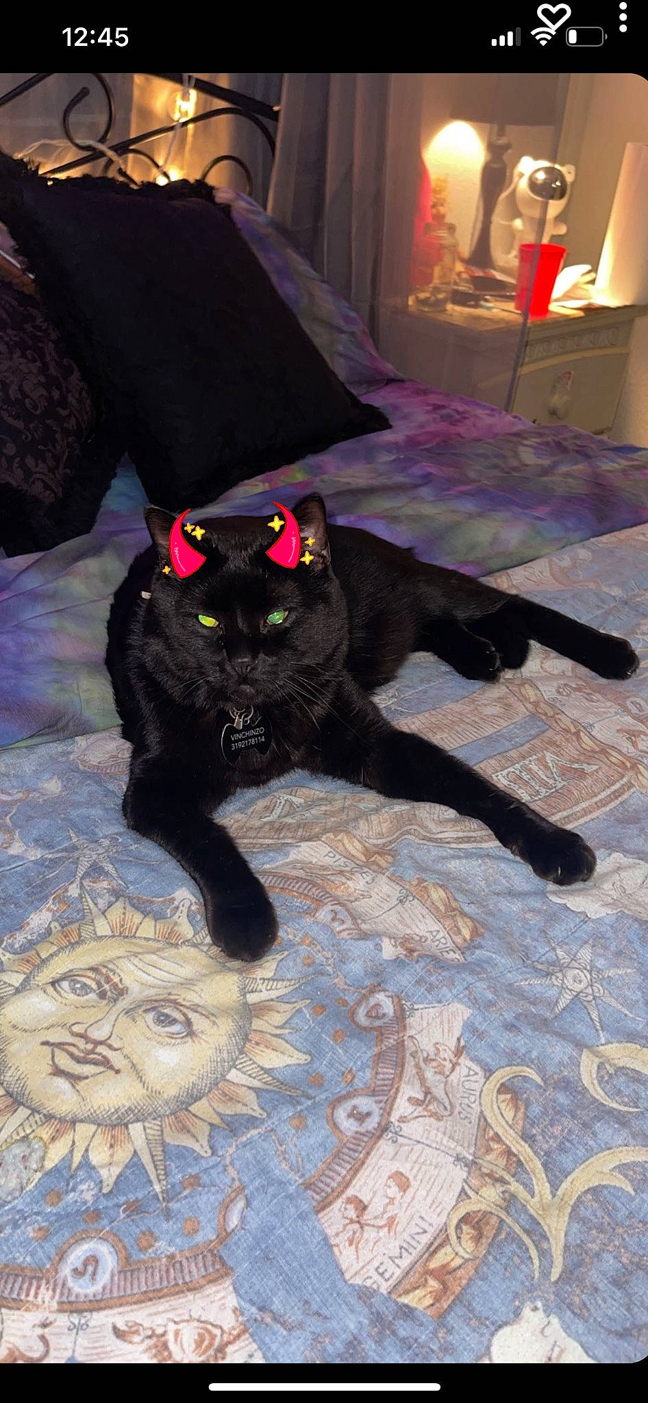 Vinnie Vonvincent Vinchenzo