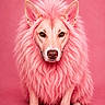 Peaches is registered to the contest to win money with this photo: animal, colorful, cute, dog, ears, eyes, fancy, fluffy, front_view, fur, isolated, mane, nose, pet, pink, pink_background, pink_fur, portrait, sitting, studio