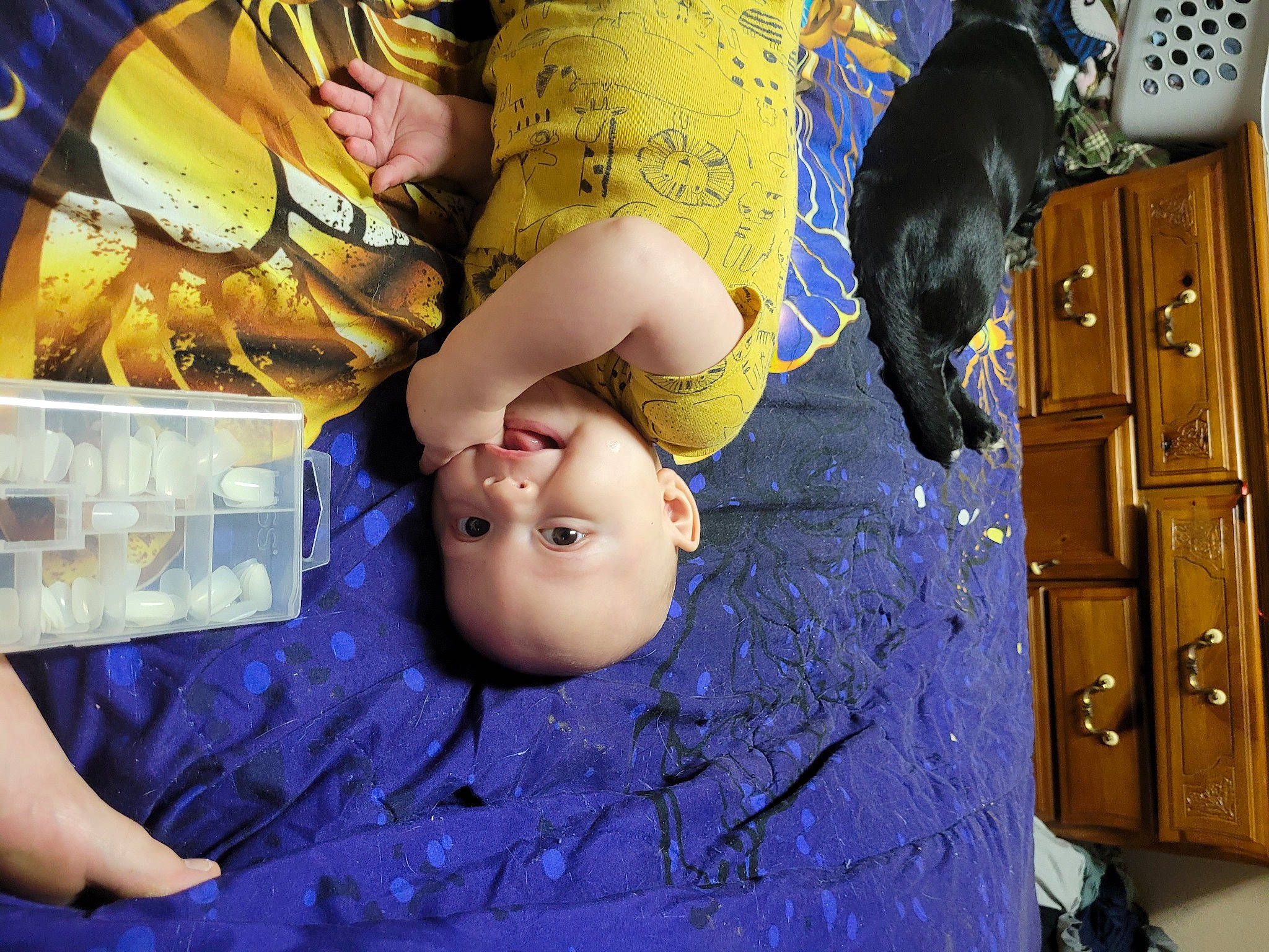 John Michael is registered to the contest to win money with this photo: abdomen, art, baby, chest, child, fun, hand, happy, leisure, person, play, purple, room, toddler, toy, yellow