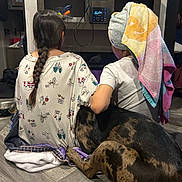 Mocha joined the competition — help win amazing prizes! child, children, dog, indoor, floor, towel, braid, back_view, sitting, cuddle, brindle_dog, wooden_floor, furniture, shelf, casual_clothing, relaxed, home, pet, companionship, cozy