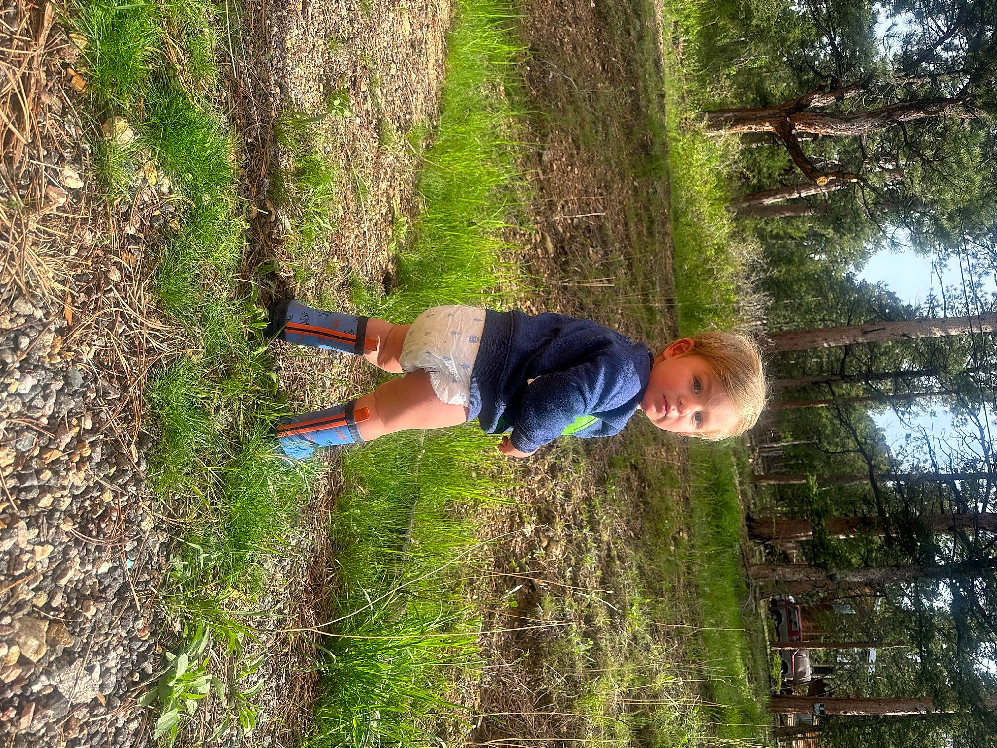 Griffin is registered to the contest to win money with this photo: elbow, forest, fun, grass, grassland, jungle, leisure, people_in_nature, person, plant, recreation, shorts, shrub, soil, t_shirt, terrestrial_plant, tree, trunk, wood, woodland