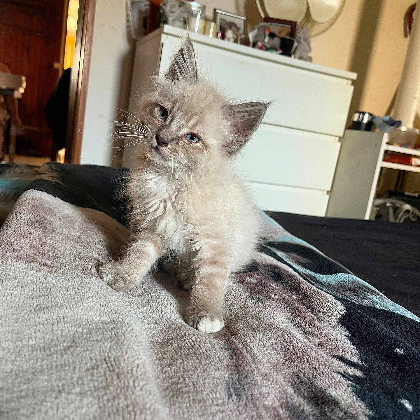 Doudou