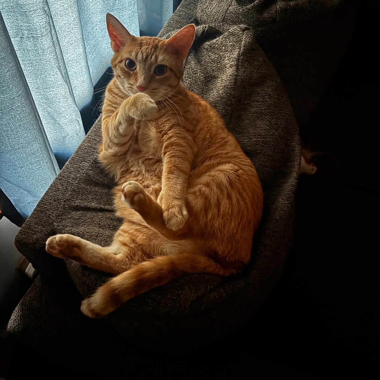 Bubby
