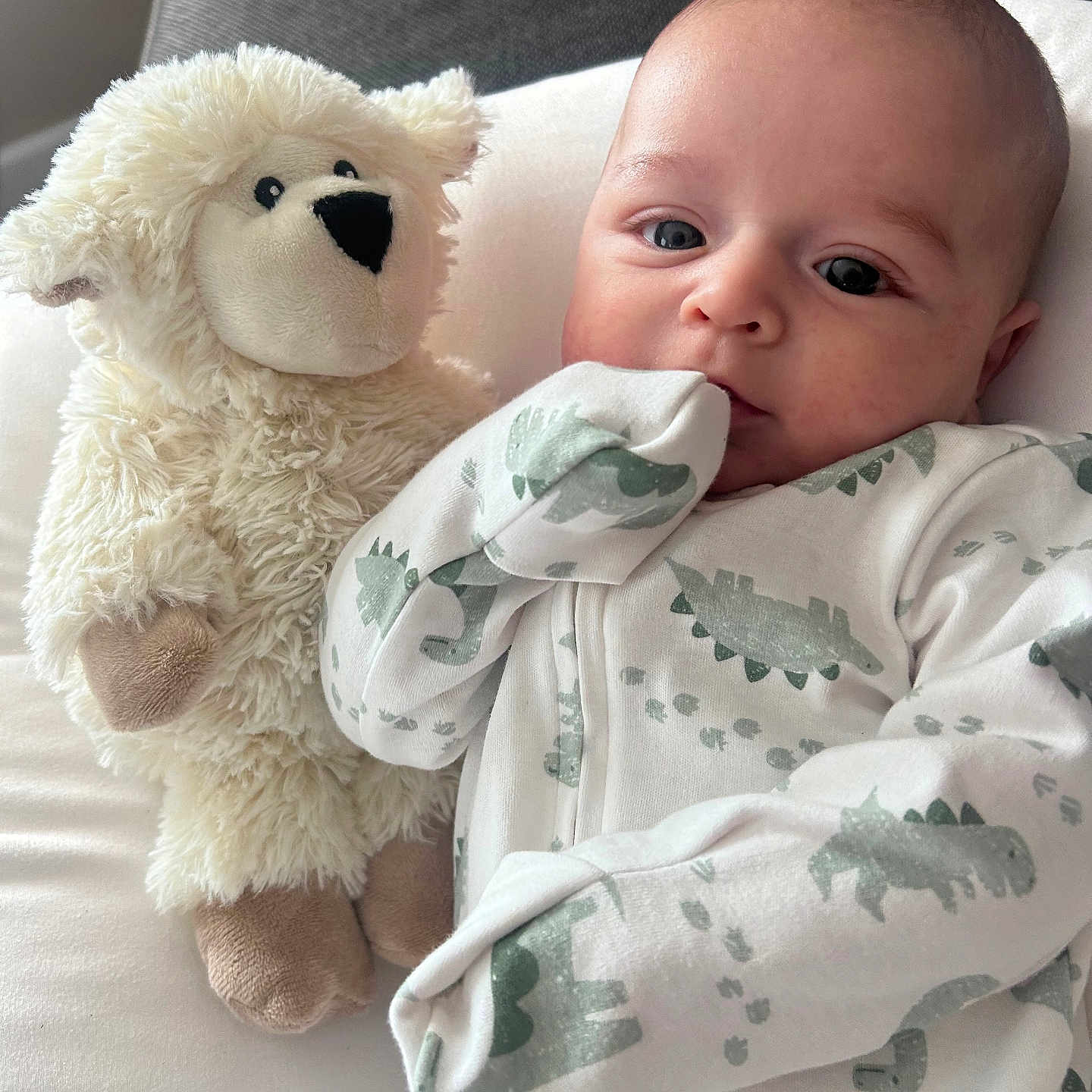 Jahziya is registered to the contest to win money with this photo: baby, bedding, close_up, cozy, cute, dinosaur_print, eyes, face, hand, indoor, infant, mouth, nursery, onesie, pillow, plush_toy, portrait, sleepwear, soft_toy, stuffed_lamb