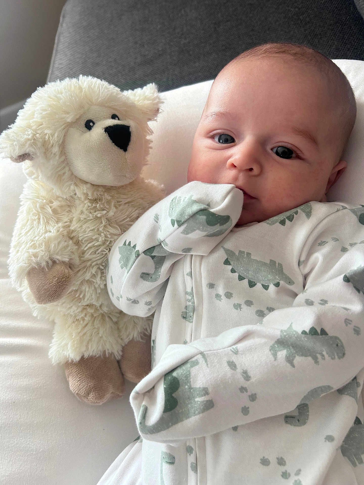 Jahziya is registered to the contest to win money with this photo: baby, infant, onesie, dinosaur_print, plush_toy, stuffed_lamb, soft_toy, bedding, pillow, face, eyes, hand, mouth, portrait, indoor, cozy, close_up, sleepwear, cute, nursery