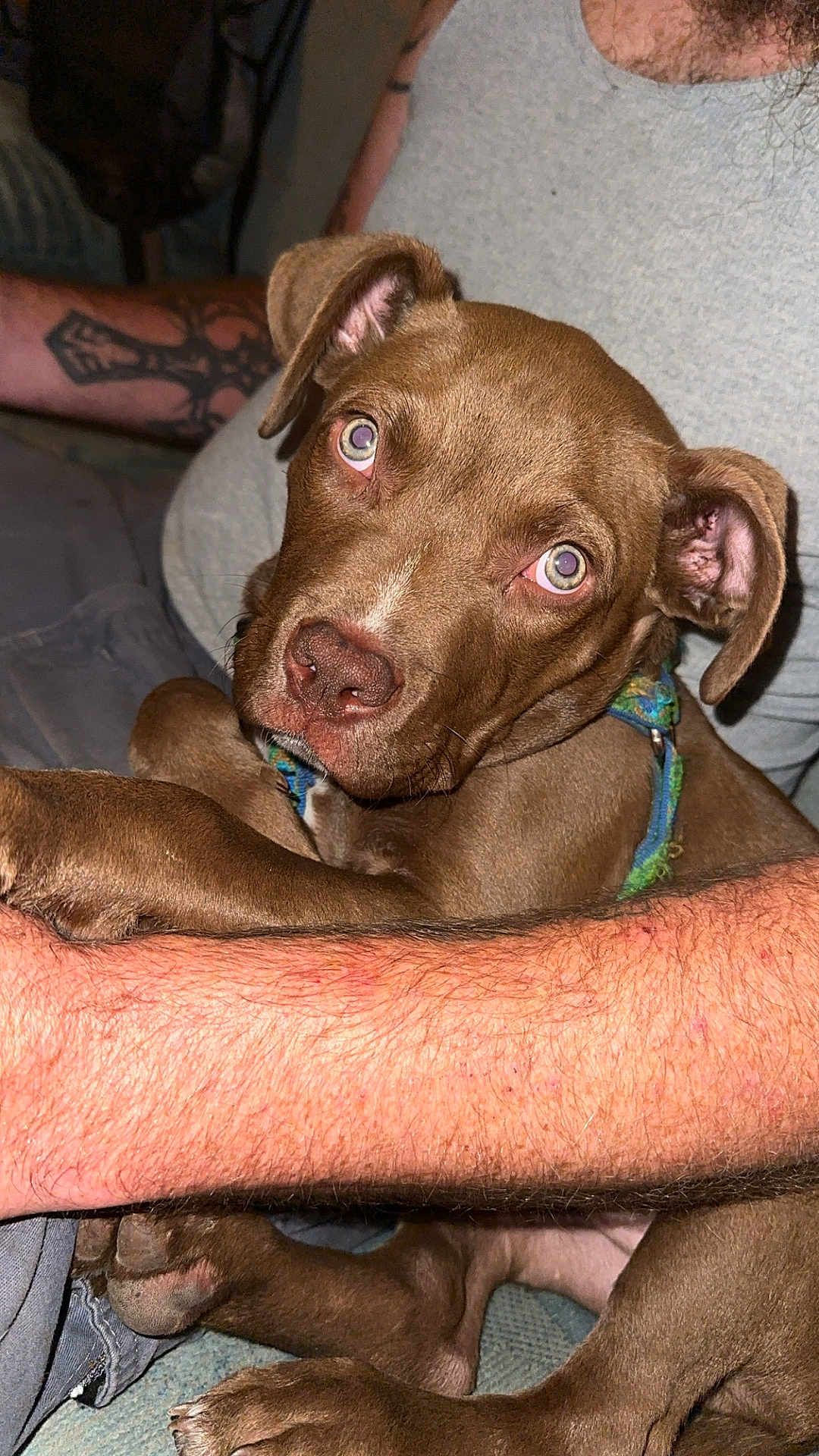 Milo