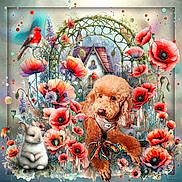 Ouily a rejoint le concours — aidez-le/la à gagner de superbes lots ! dog, puppy, rabbit, bird, flowers, poppies, house, garden, rope_toy, fluffy, nature, colorful, cute, playful, animal, whimsical, artistic, background, archway, spring