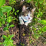 Joy participe au concours pour gagner de l'argent avec cette photo :