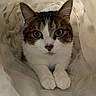 Joy participe au concours pour gagner de l'argent avec cette photo :