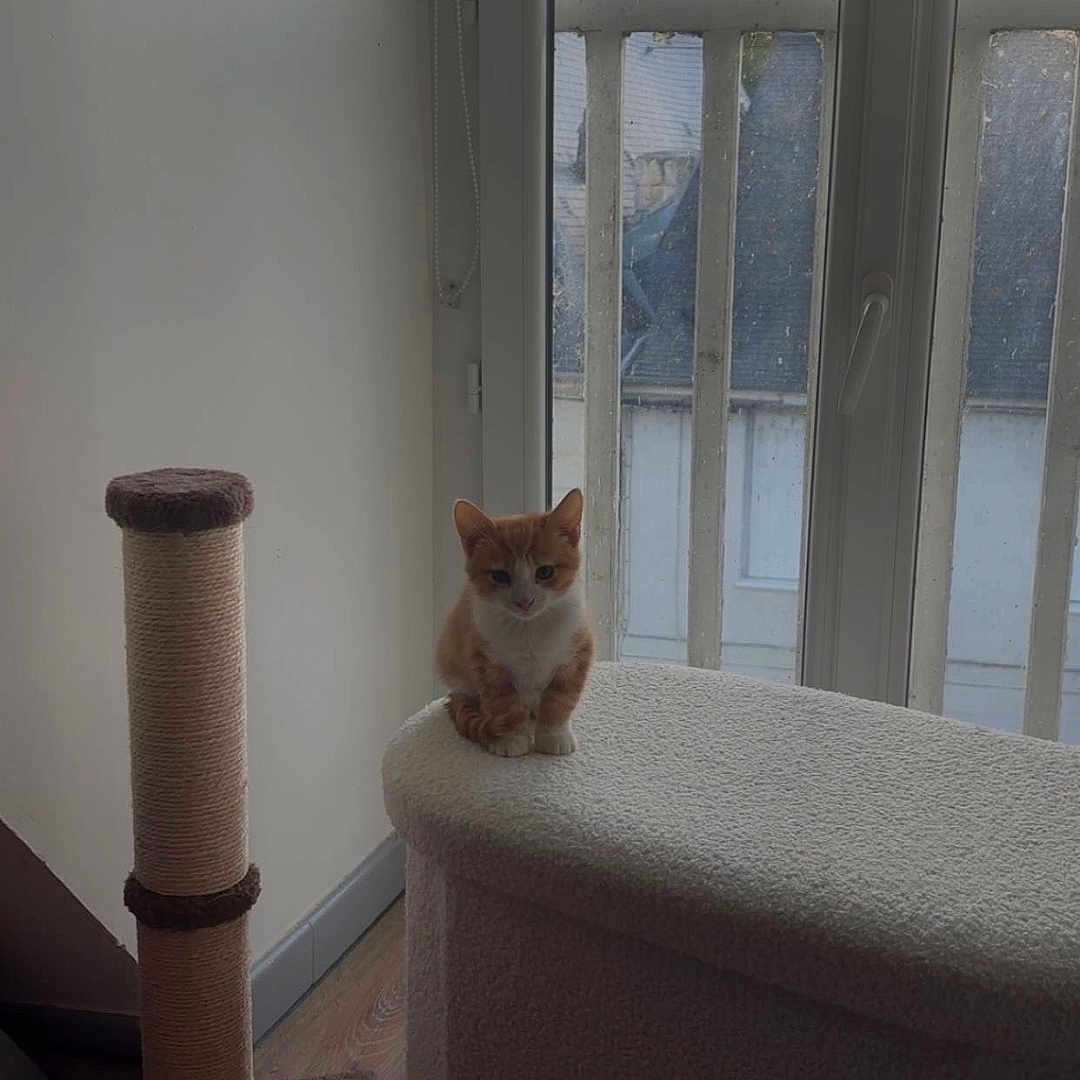 Marvin