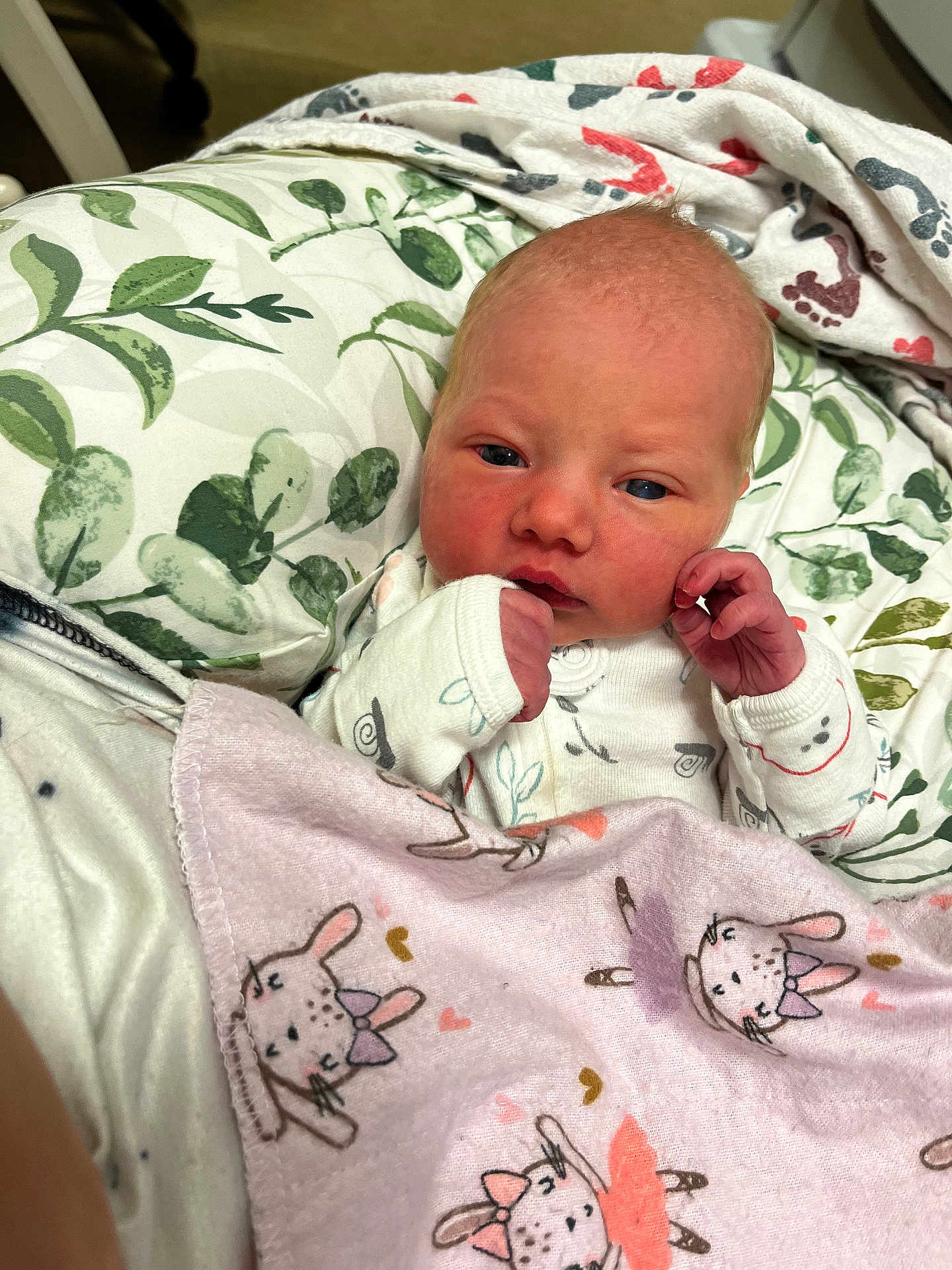 Lilly is registered to the contest to win money with this photo: newborn, baby, blanket, bunny_print, cozy, indoors, pillow, leaf_pattern, infant, cute, clothing, sleepwear, face, hand, portrait, resting, soft, pink, white, baby_girl