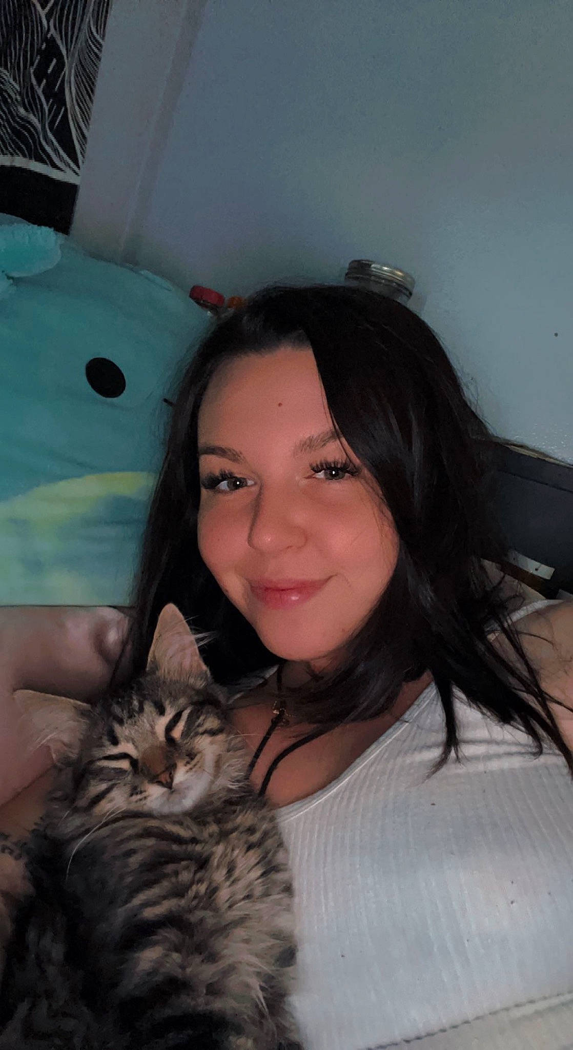 Bowie is registered to the contest to win money with this photo: beauty, black_hair, brown_hair, carnivore, cat, eyelash, fawn, felidae, flash_photography, hair, happy, iris, jaw, layered_hair, long_hair, mouth, skin, small_to_medium_sized_cats, smile, whiskers