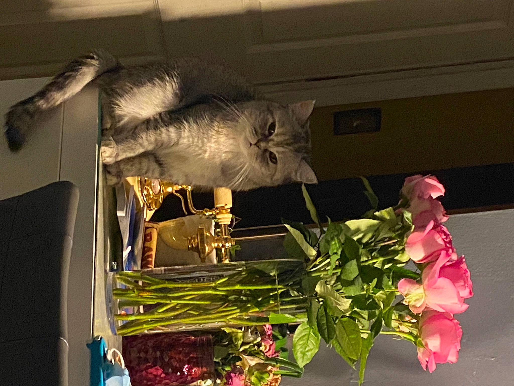 Kitten Girl joined the competition — help win amazing prizes! art, artificial_flower, bouquet, creative_arts, cut_flowers, event, floral_design, floristry, flower, flower_arranging, petal, plant, room, rose, rose_family, still_life, still_life_photography, tints_and_shades, visual_arts, window