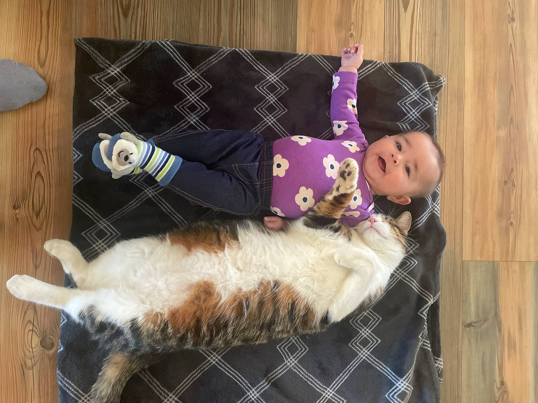 Kamryn joined the competition — help win amazing prizes! baby_toddler_clothing, carnivore, companion_dog, couch, dog_breed, doll, fawn, felidae, fur, hat, mammal, person, small_to_medium_sized_cats, sporting_group, tail, textile, toddler, toy, vertebrate, wood
