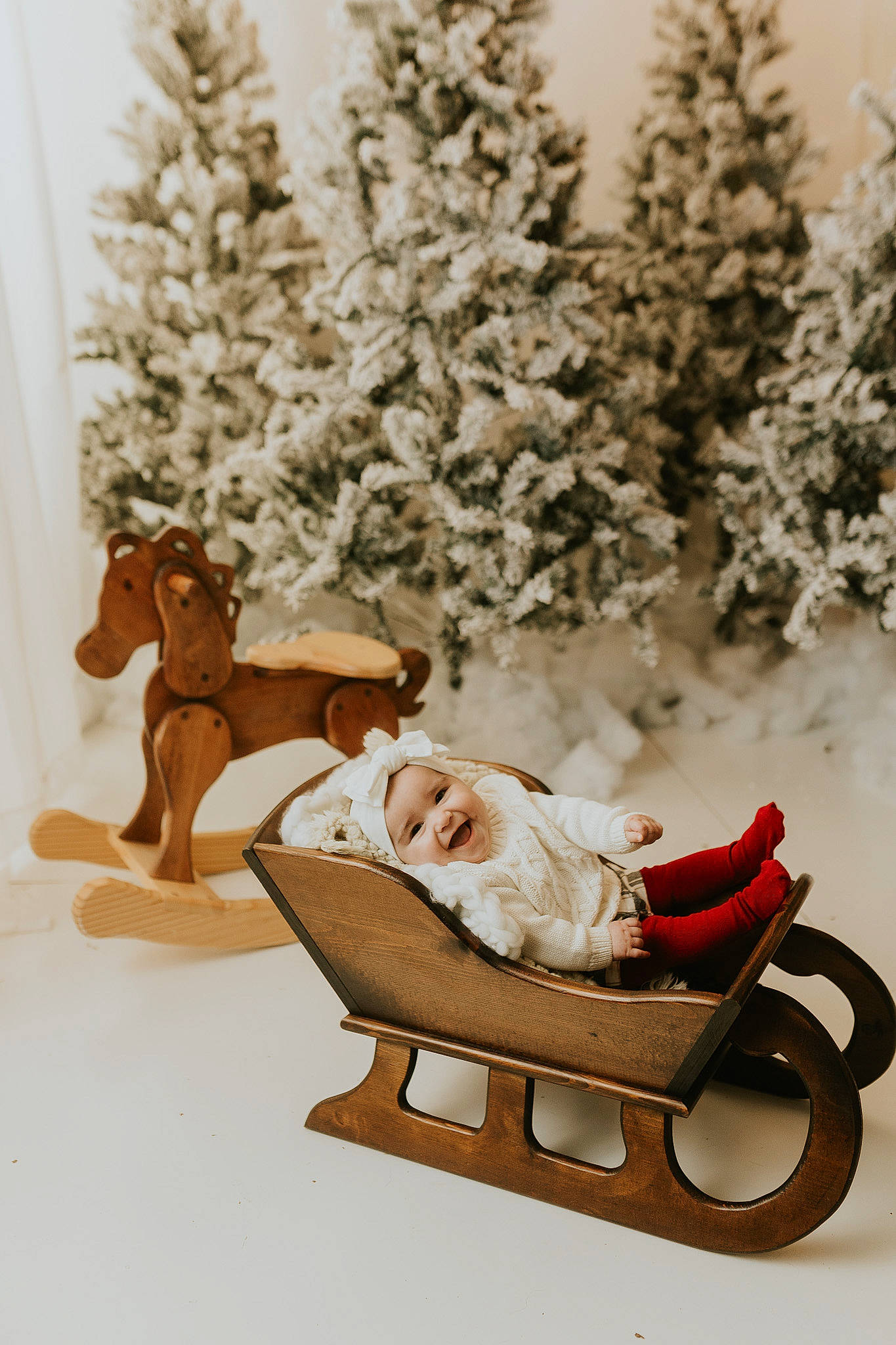 Kamryn is registered to the contest to win money with this photo: art, bench, carnivore, comfort, couch, event, fawn, freezing, headwear, joy, leisure, outdoor_furniture, person, plant, sitting, sled, snow, tire, tree, wheel