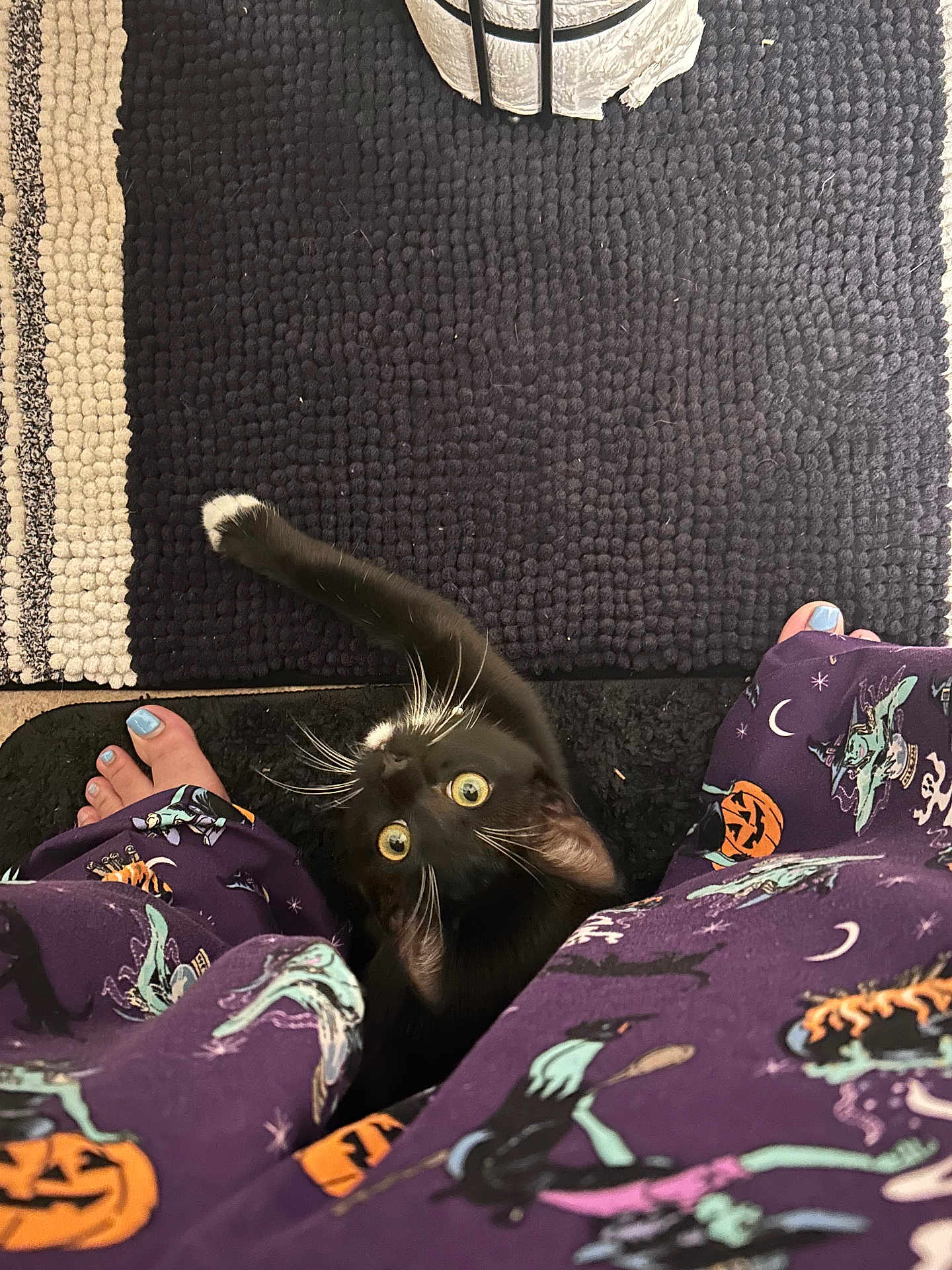 Oreo