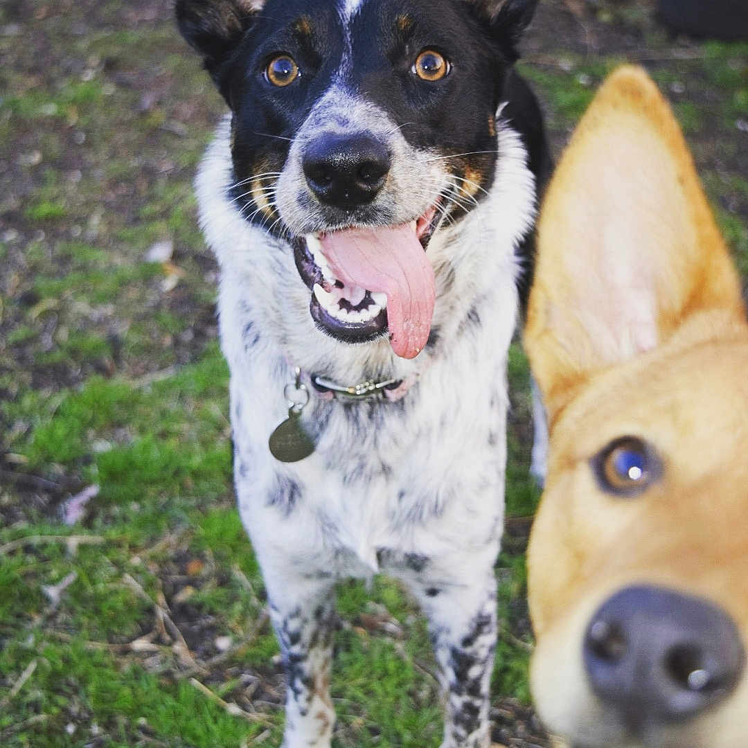 Baby And Roxy