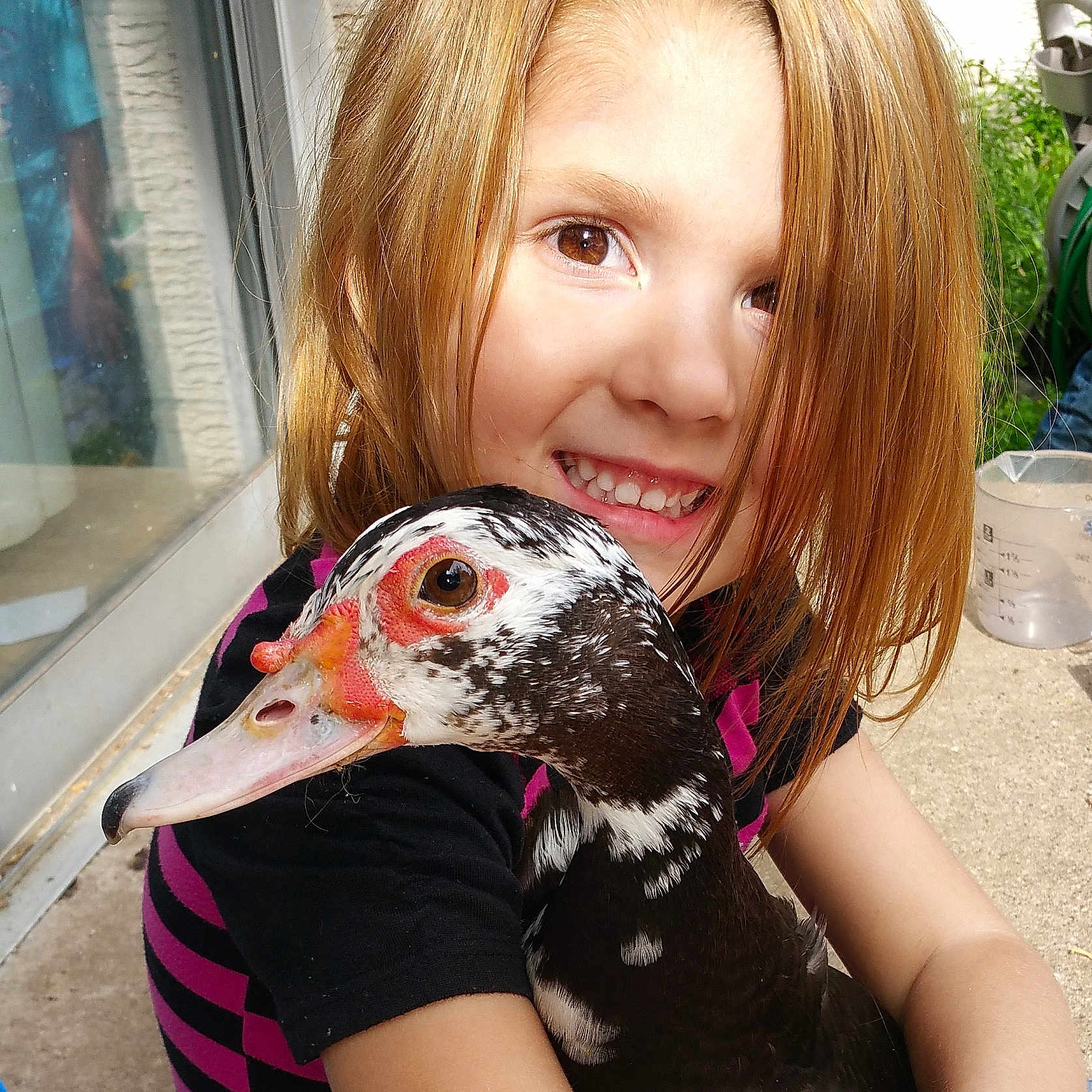 Lucky Ducky