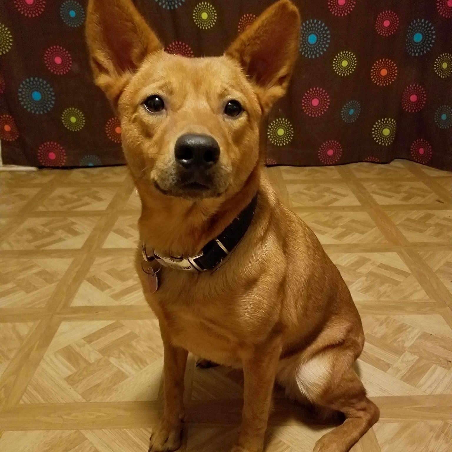 Roxy