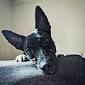 Lola M.