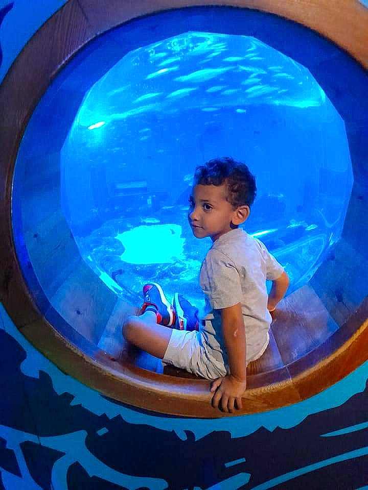 Ydriss a rejoint le concours — aidez-le/la à gagner de superbes lots ! aqua, azure, baby_toddler_clothing, blue, circle, electric_blue, fixture, fun, leisure, organ, person, photograph, recreation, red, shorts, sleeve, snapshot, toddler, water, window