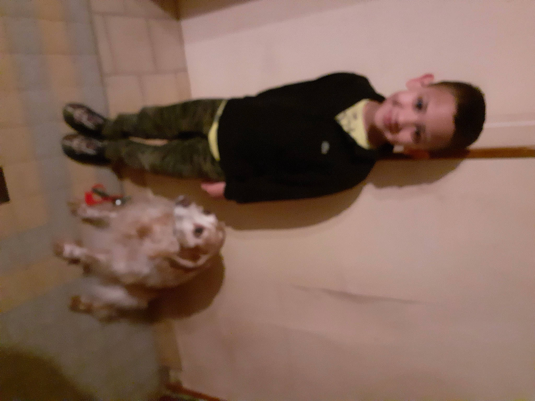 Ydriss a rejoint le concours — aidez-le/la à gagner de superbes lots ! comfort, elbow, flooring, foot, fun, fur, hardwood, human_leg, joy, knee, person, plaster, room, sitting, sleeve, tail, toy, wood, wrist