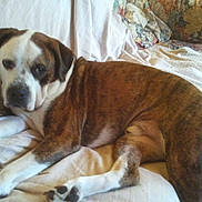 Pablo a rejoint le concours — aidez-le/la à gagner de superbes lots !