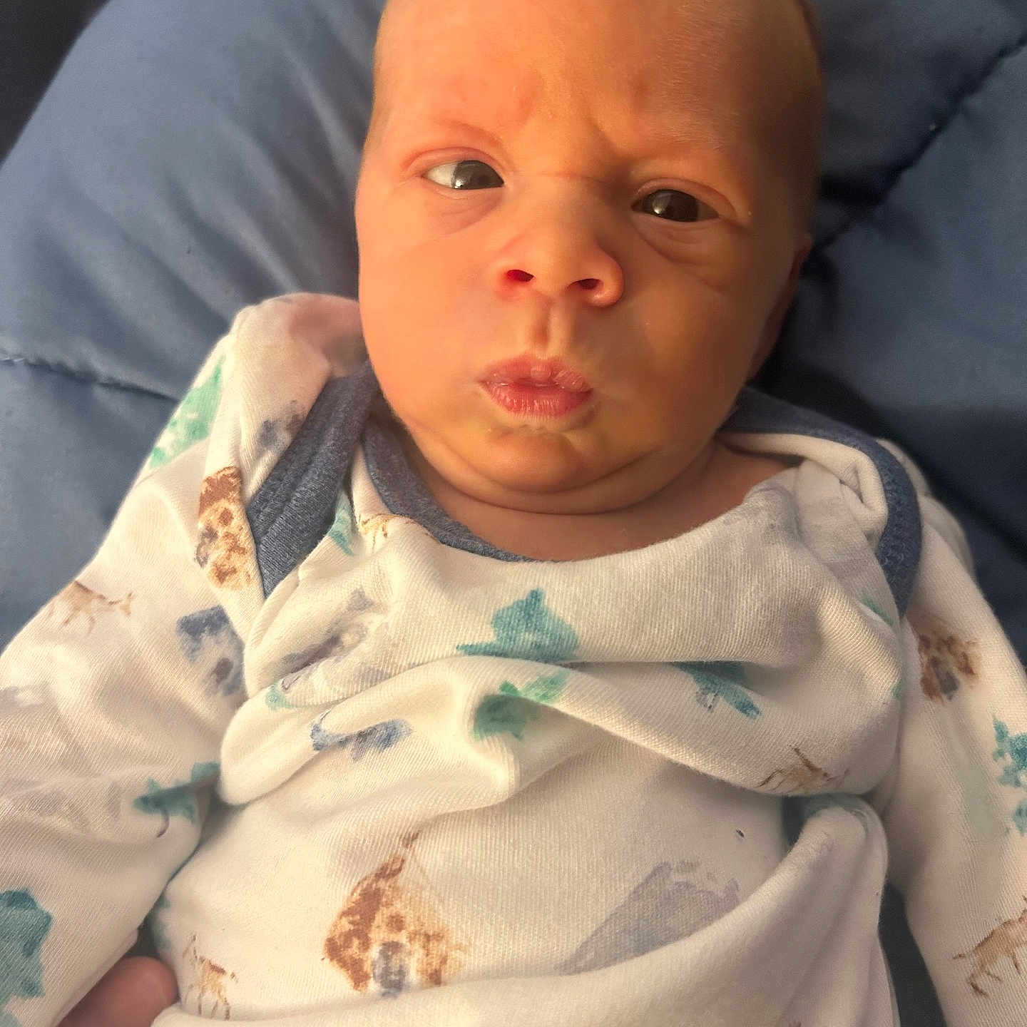 Waylon is registered to the contest to win money with this photo: animal_print, baby, child, closeup, comfortable, cozy, cushion, cute, expression, eyes, face, head, indoor, infant, mouth, newborn, onesie, person, skin, soft