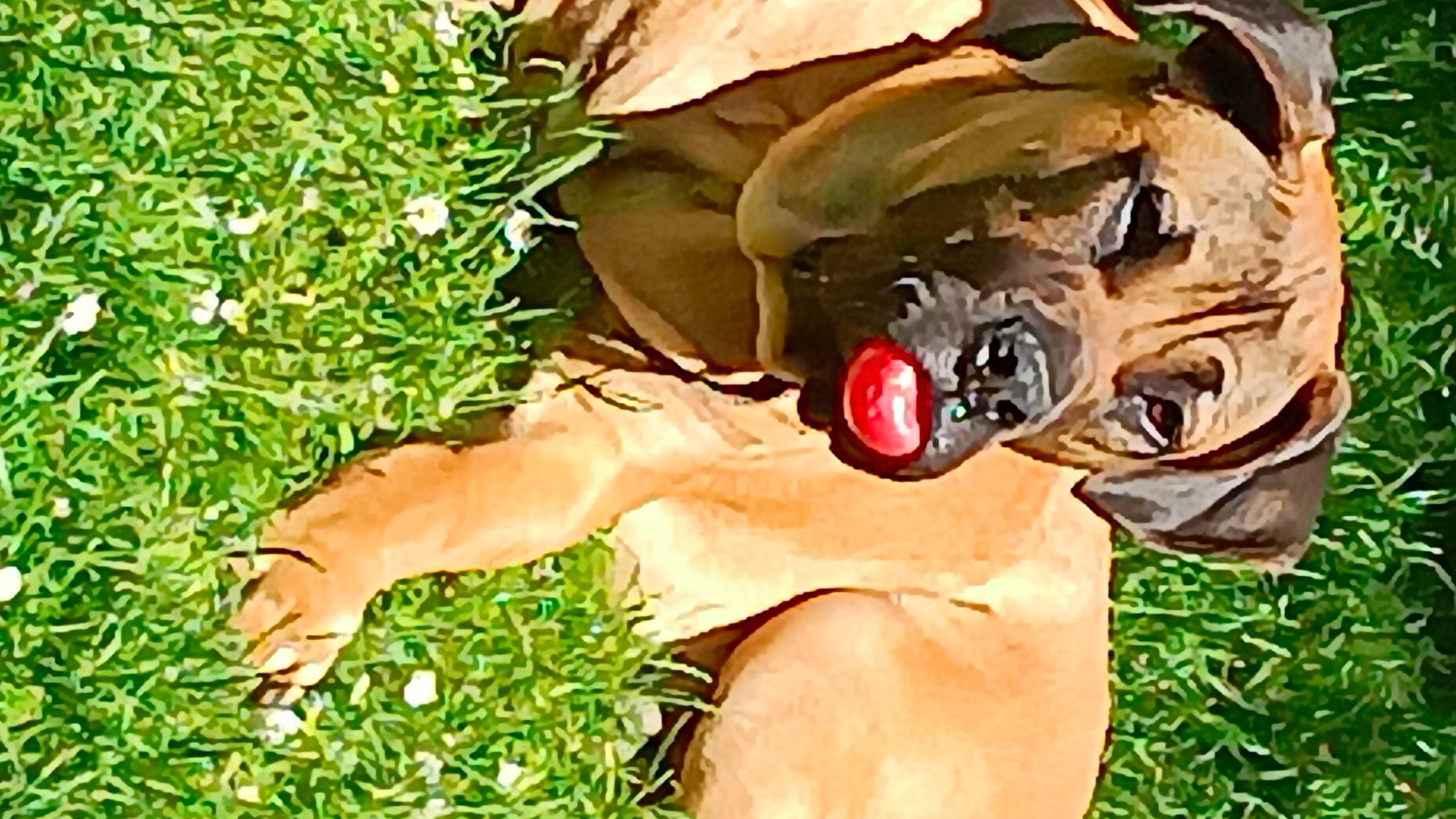 Viktor participe au concours pour gagner de l'argent avec cette photo : art, big_cats, camouflage, chest, eye, fawn, glove, grass, head, human_leg, military_camouflage, people_in_nature, personal_protective_equipment, plant, reptile, rose, snout, terrestrial_animal, tree, wildlife