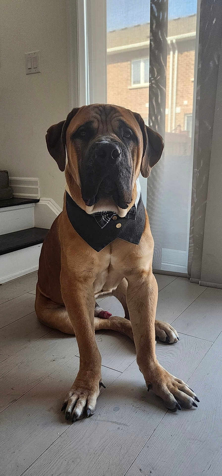 Hudson