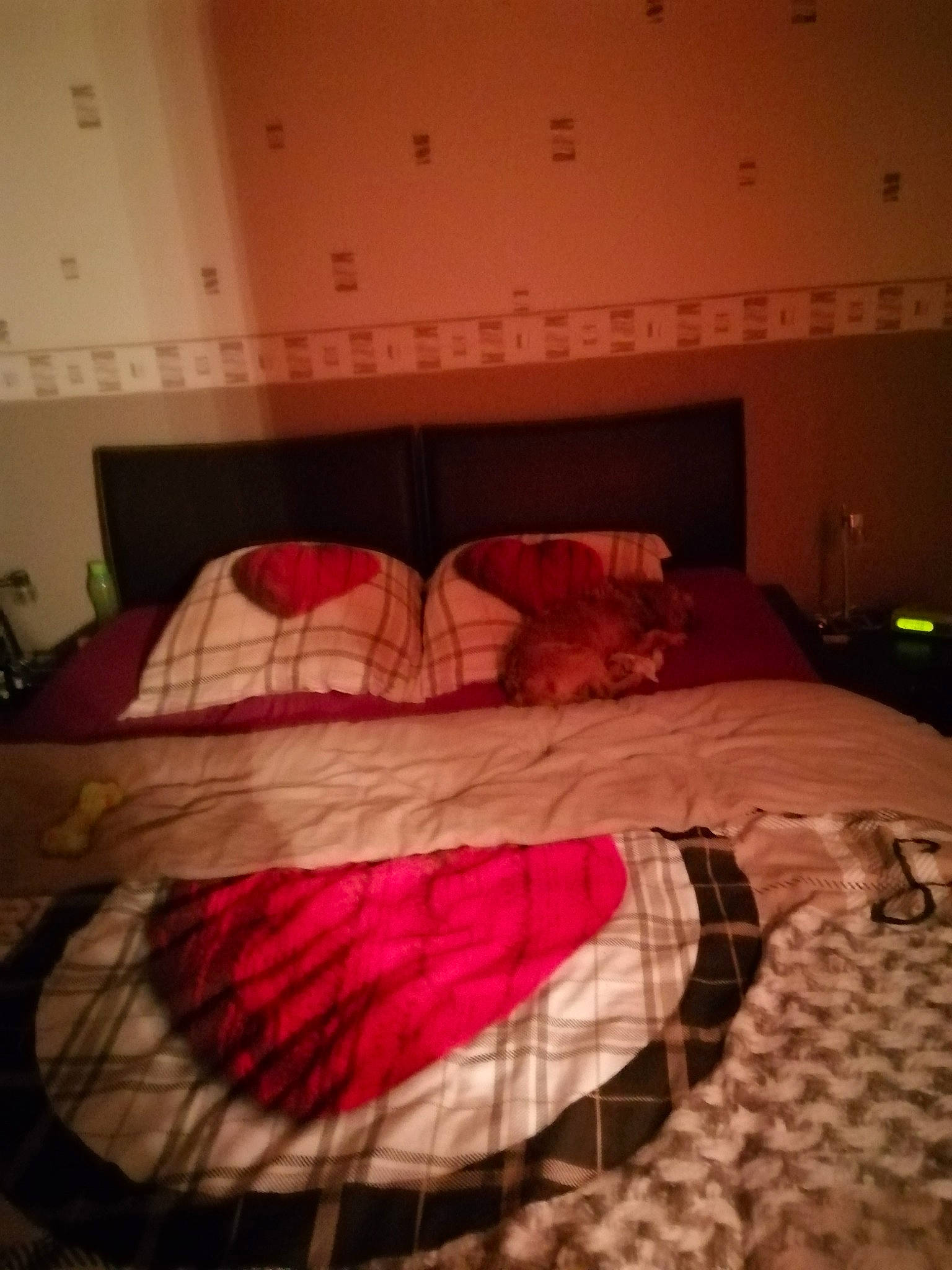 Opeye participe au concours pour gagner de l'argent avec cette photo : bed, bed_frame, bed_sheet, bedding, bedroom, carmine, ceiling, comfort, duvet_cover, flesh, floor, flooring, hardwood, interior_design, linens, magenta, pattern, room, tints_and_shades, wood