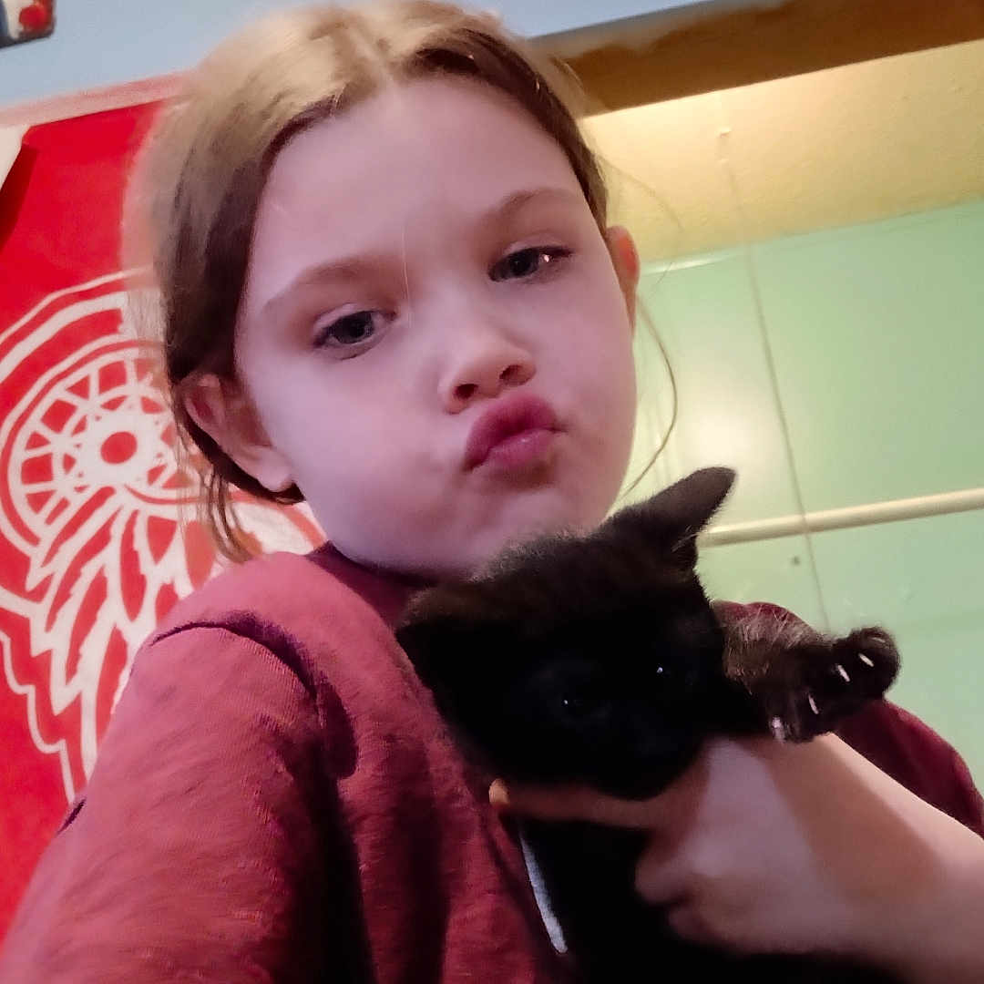 Ivalee is registered to the contest to win money with this photo: animal, blackcat, bodypart, cat, child, couch, face, female, finger, furniture, girl, hand, head, kitten, manx, person, pet, photography, portrait, siamese