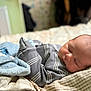 Archie joined the competition — help win amazing prizes! baby, sleeping, blanket, bed, cozy, infant, soft, peaceful, portrait, child, indoors, cute, rest, warm, newborn, person, head, skin, face, comfort
