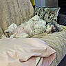 dog, small_dog, sleeping, fluffy, white_fur, long_hair, belly_up, relaxed, cozy, chair, blanket, pillow, wolf_print, living_room, indoor, home, furniture, nap, pet, cute