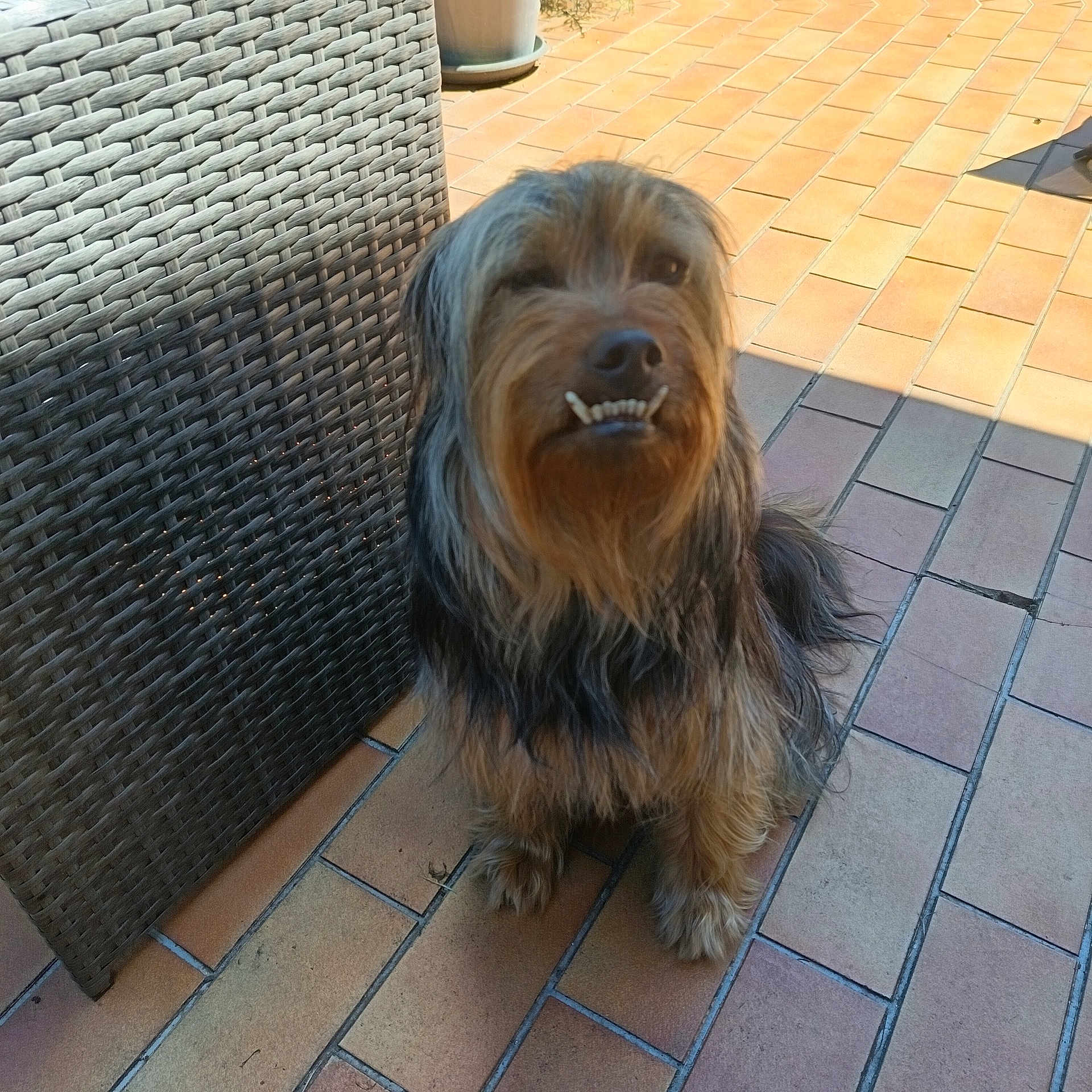 Sam