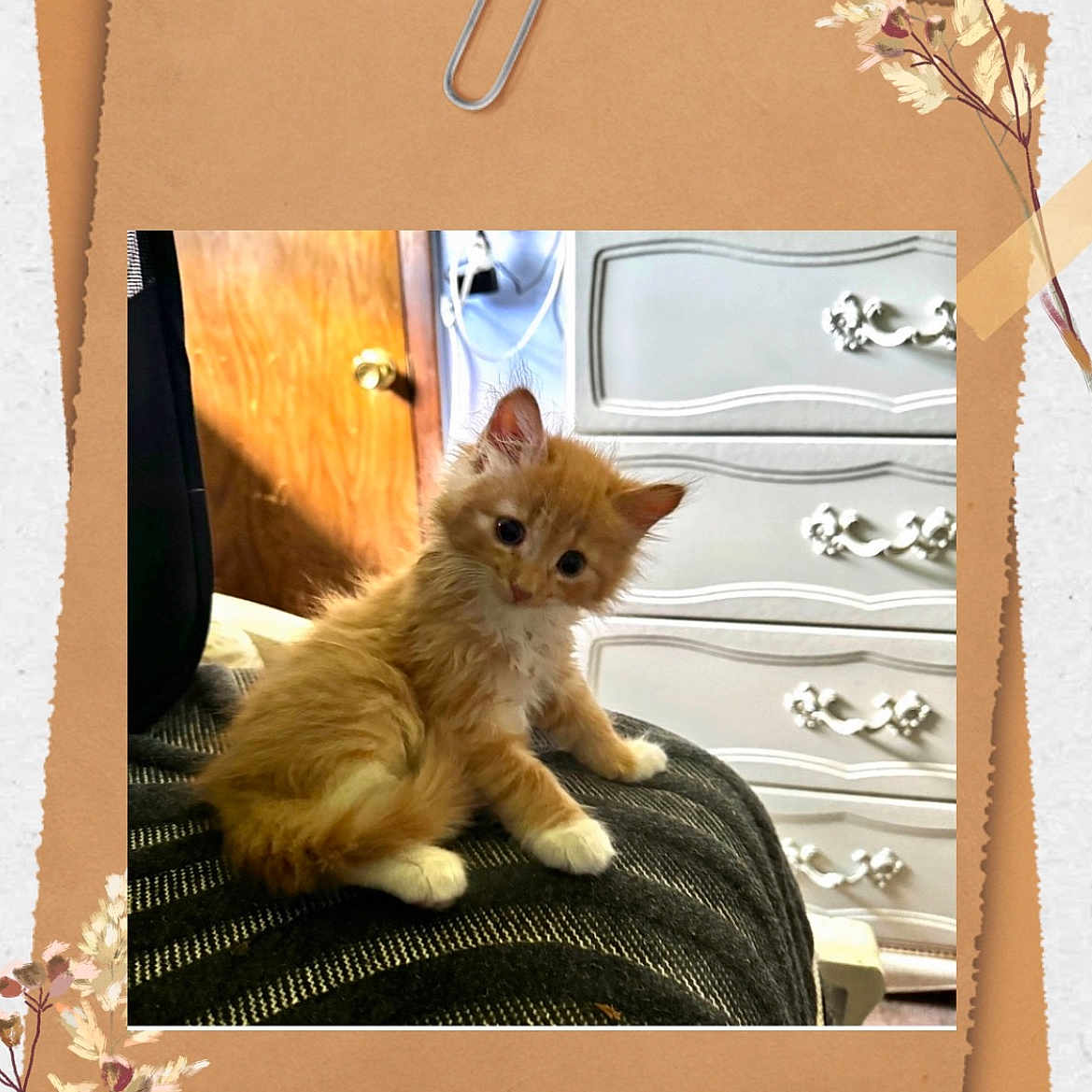 Tater Tot
