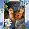 animal, blanket, blue_flowers, cat, cozy, cute, decorative_frame, fluffy, furry, indoor, kitten, orange_cat, paw, pet, portrait, resting, small, soft_texture, stretching, young