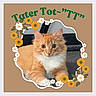 Tater Tot joined the competition — help win amazing prizes! animal, brown_background, cat, closeup, cute, decorative, domestic_cat, eyes, floral_frame, flower, fur, indoor, orange_cat, paws, pet, portrait, resting, text_overlay, whiskers, white_fur