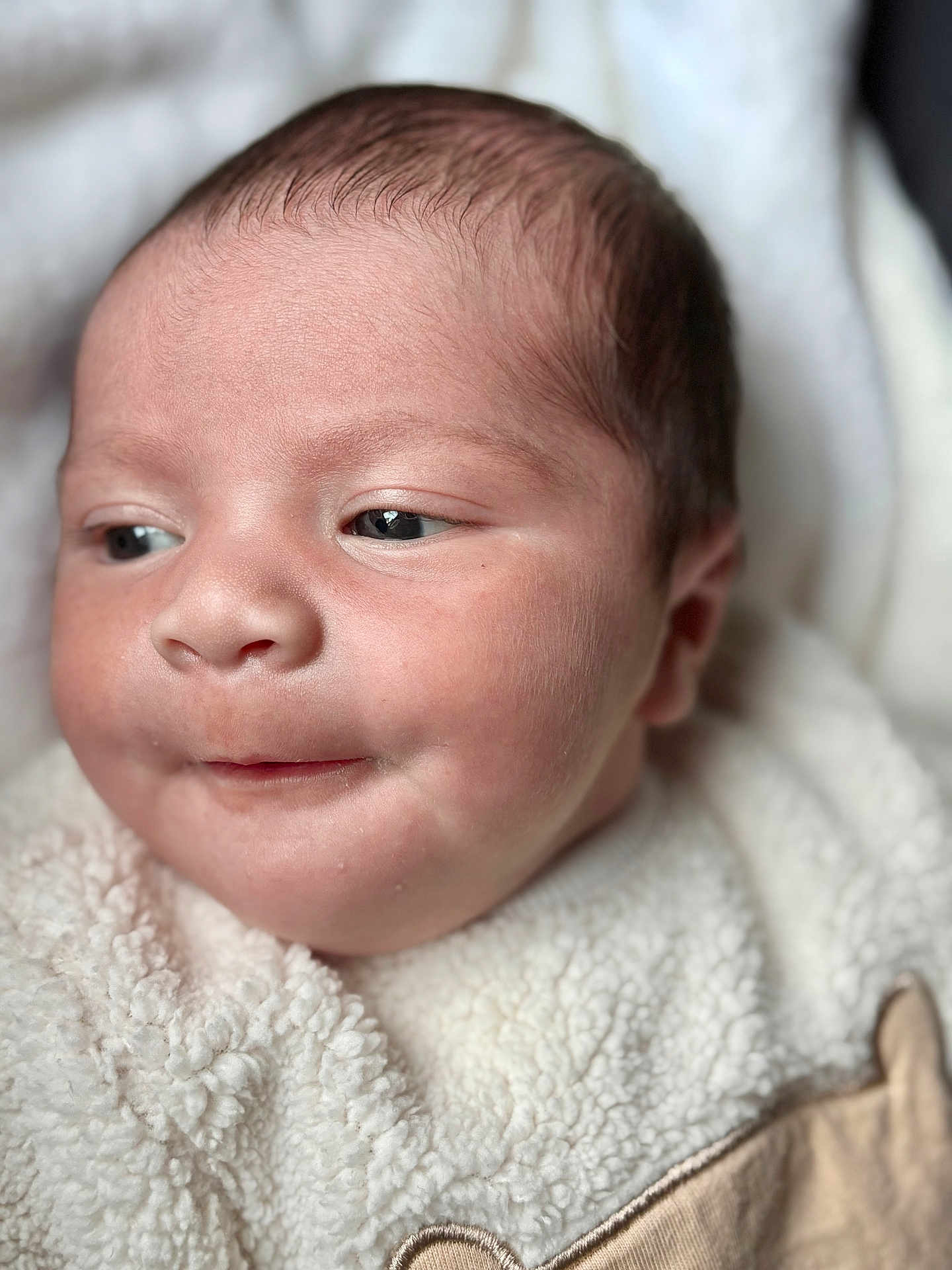 Pierre a rejoint le concours — aidez-le/la à gagner de superbes lots ! baby, newborn, portrait, face, skin, eyes, blanket, clothing, closeup, infant, soft, warm, cozy, cute, child, sleepy, head, small, human, peaceful