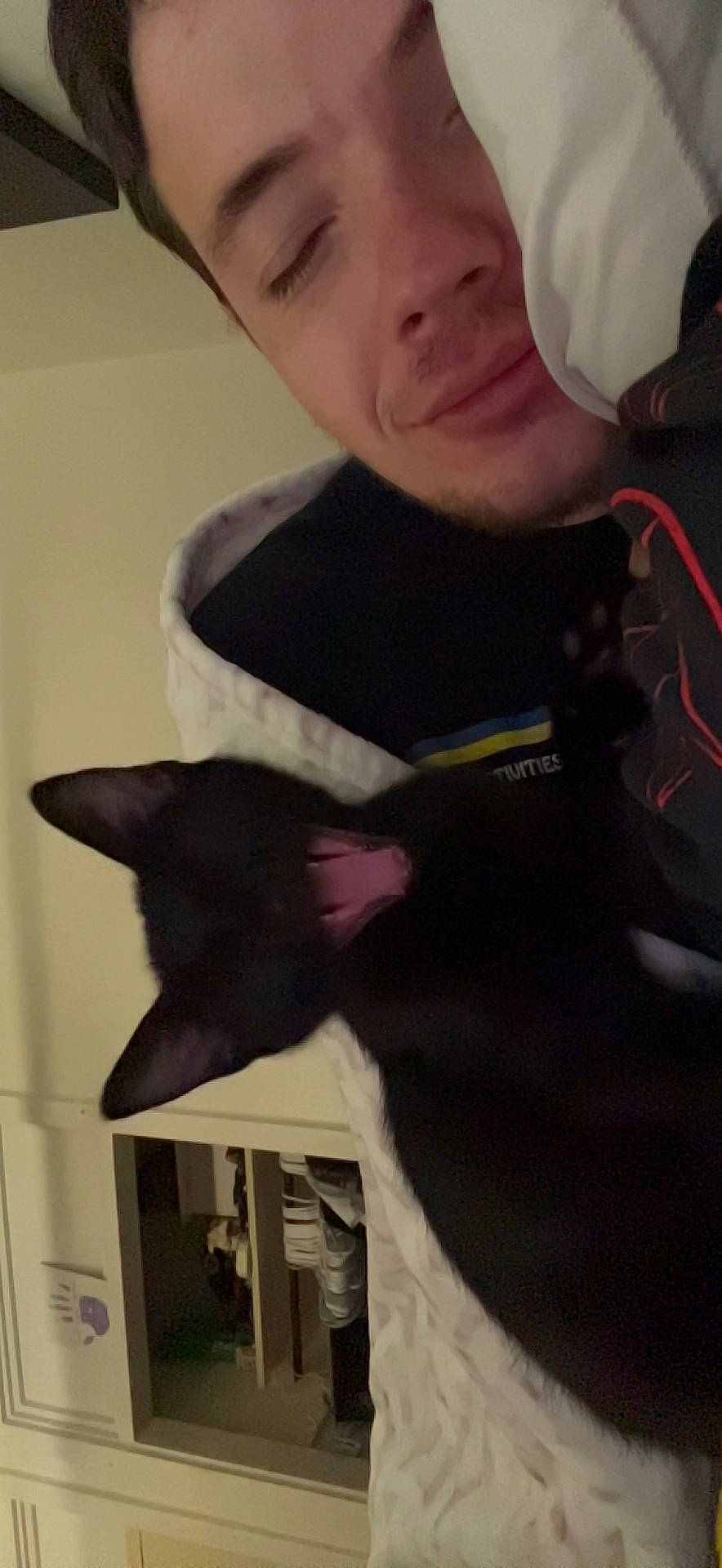 Dyna is registered to the contest to win money with this photo: bow_tie, carmine, chest, collar, ear, elbow, eyewear, fashion_accessory, felidae, formal_wear, fur, gadget, gesture, personal_protective_equipment, selfie, sleeve, small_to_medium_sized_cats, textile, top, whiskers