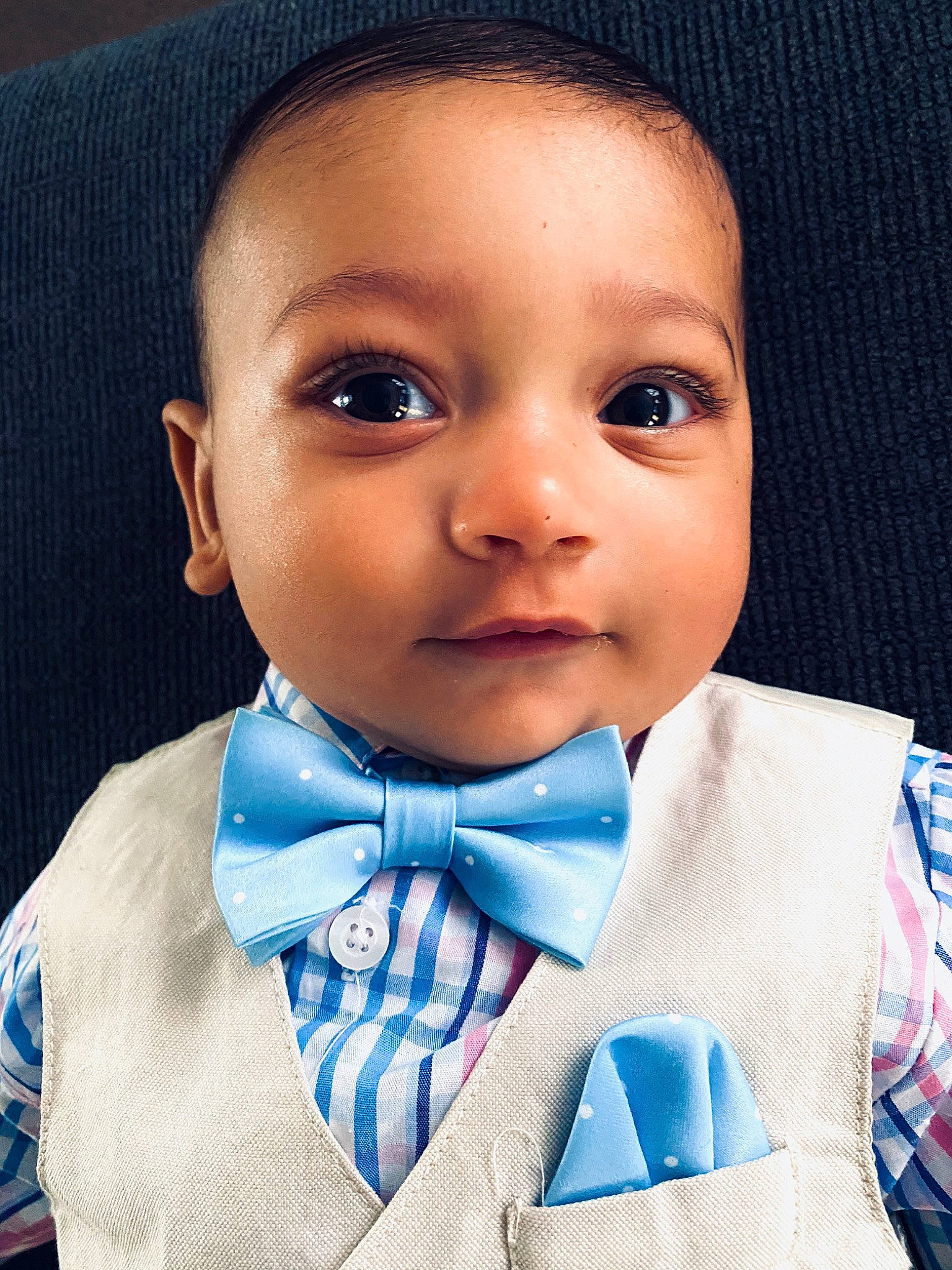 Boston joined the competition — help win amazing prizes! baby, blue, bow_tie, cheek, child, chin, eye, eyebrow, face, forehead, head, human, lip, neck, nose, person, skin, smile, tie, toddler