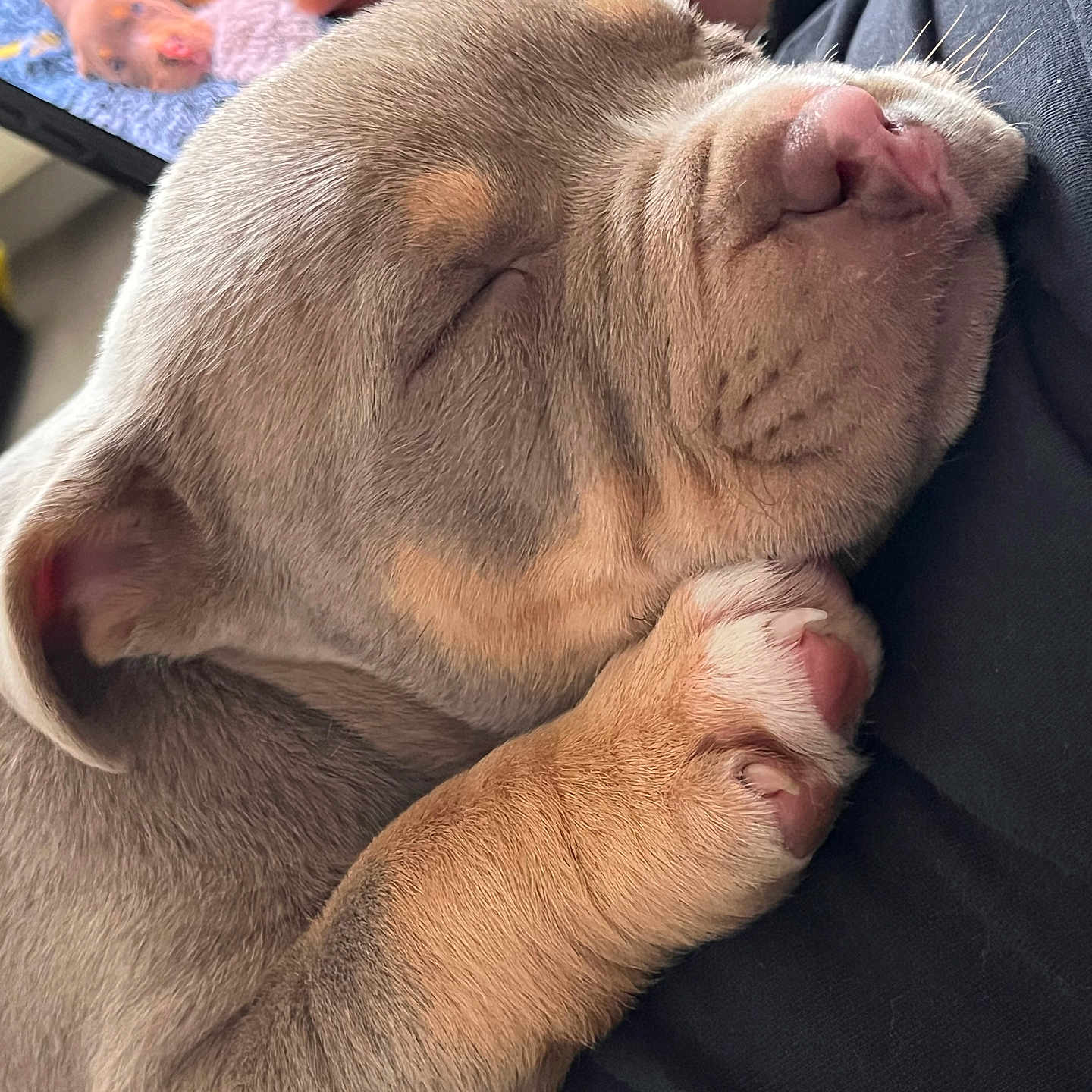 Walter