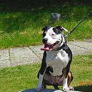 Shayla participe au concours pour gagner de l'argent avec cette photo :