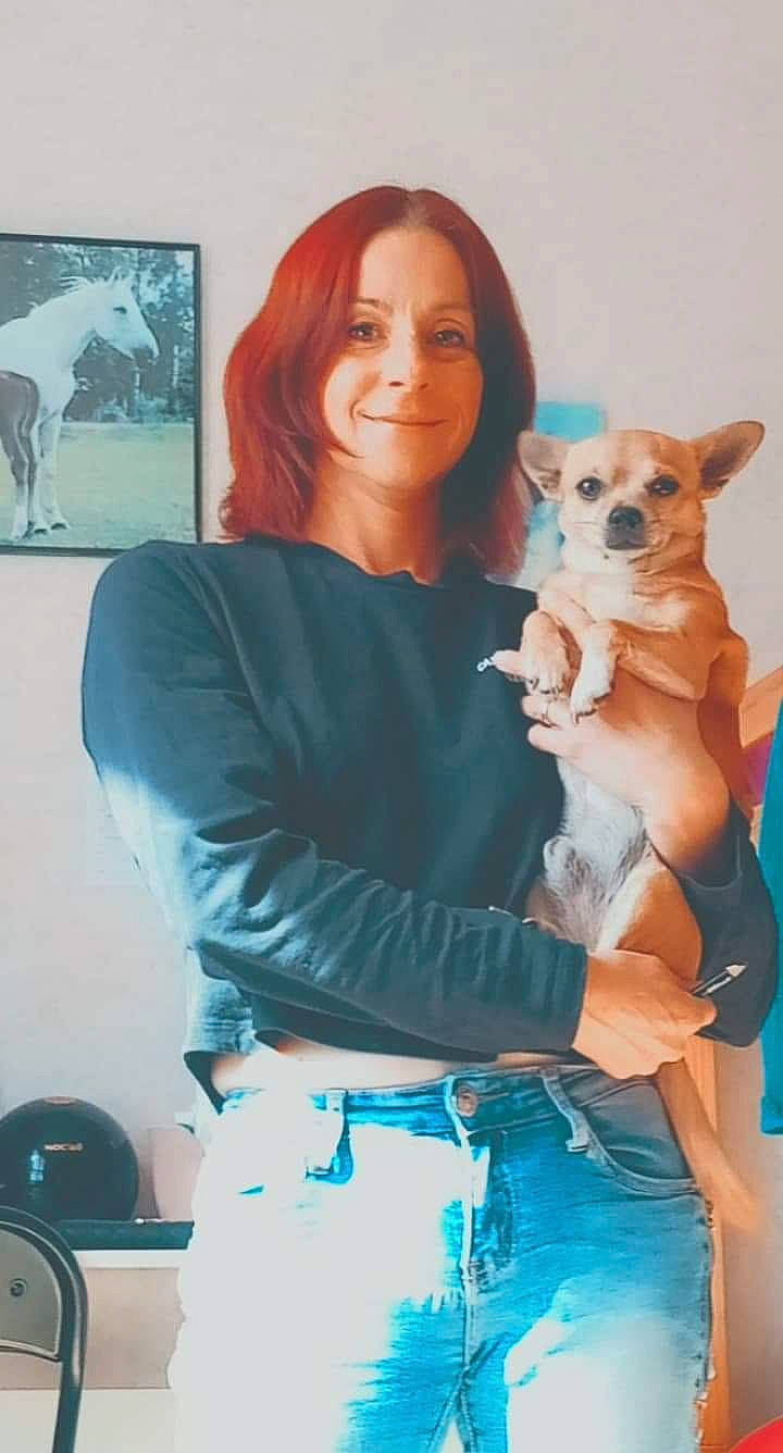 Marley participe au concours pour gagner de l'argent avec cette photo : canidae, carnivore, chihuahua, companion_dog, dog, dog_breed, fawn, pembroke_welsh_corgi, pomeranian, puppy, puppy_love, toy_dog