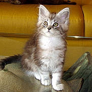 Lou participe au concours pour gagner de l'argent avec cette photo :