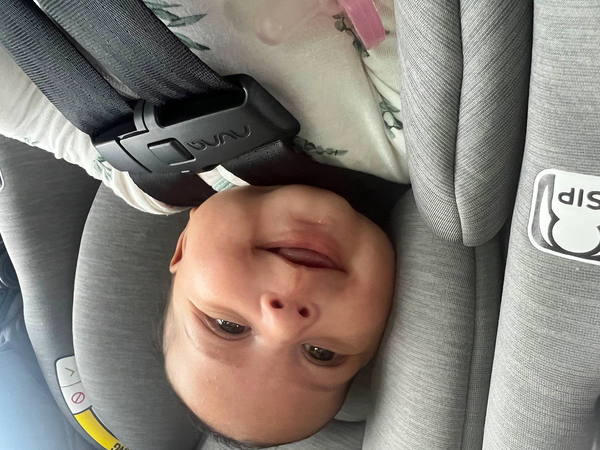 Delilah joined the competition — help win amazing prizes! auto_part, automotive_design, baby, baby_in_car_seat, baby_products, car_seat, cheek, child, close_up, comfort, eyelash, finger, flash_photography, gesture, happy, joy, material_property, person, product, smile